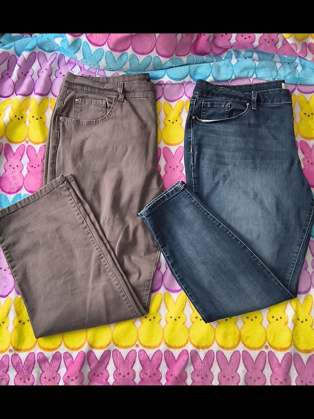 Women's Plus Size Pants